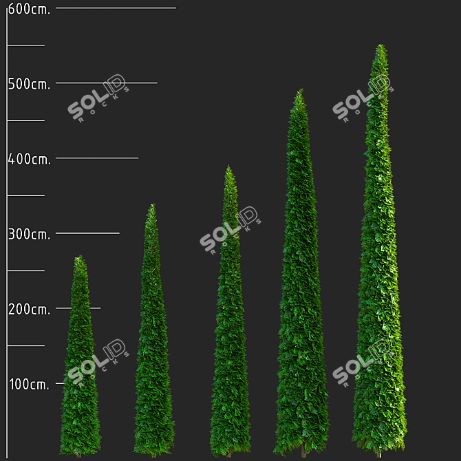 Trimmed Western Thuja Cones 3D model image 3