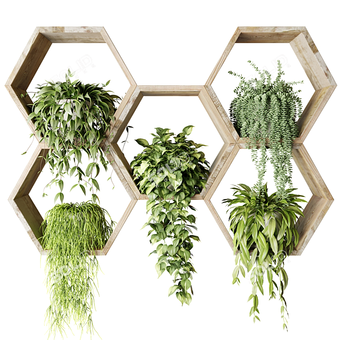 Hexagon Wall Planters with Hanging Plants 3D model image 1