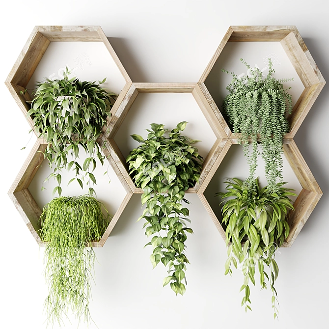 Hexagon Wall Planters with Hanging Plants 3D model image 2