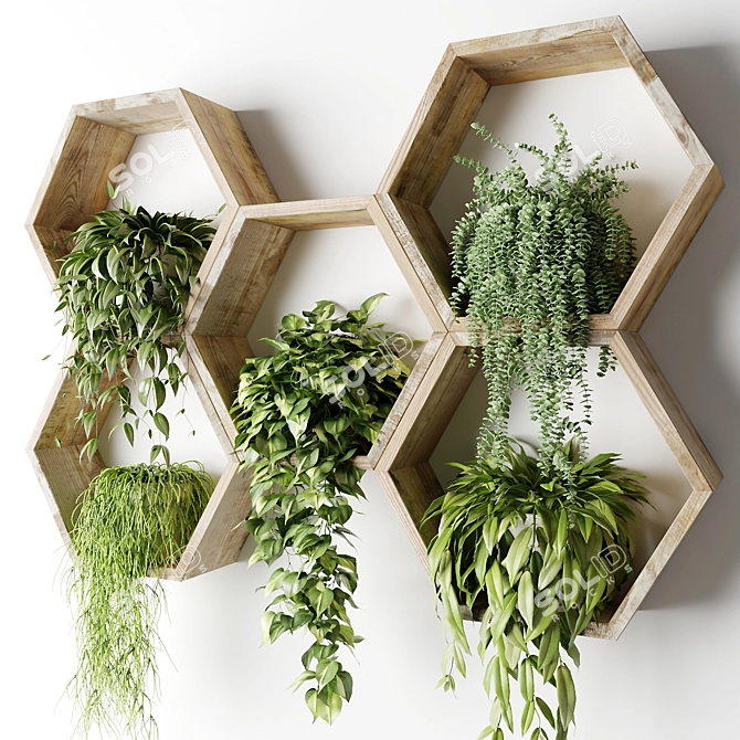 Hexagon Wall Planters with Hanging Plants 3D model image 3