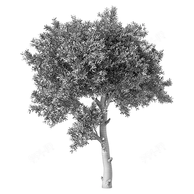 Elegance No.106: 388976 Polys 3D model image 3