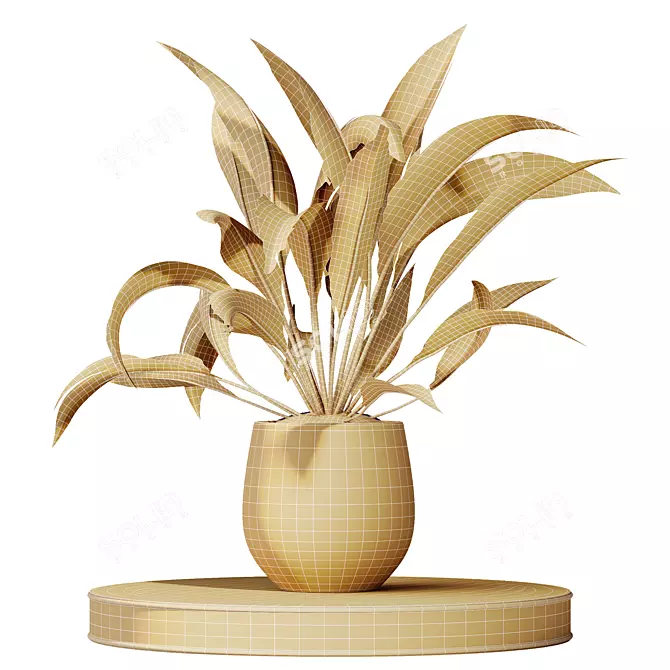 Variegated Spathiphyllum (Peace Lily) Set 3D model image 4