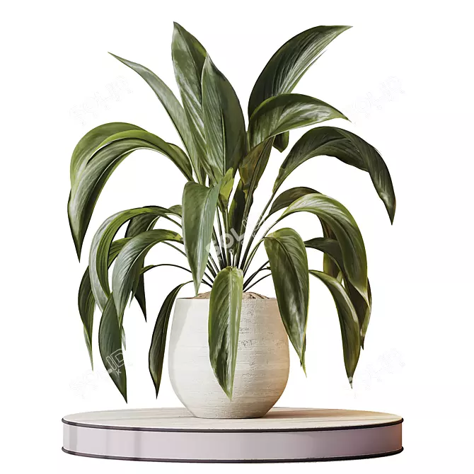 Variegated Peace Lily Domino Set 3D model image 1