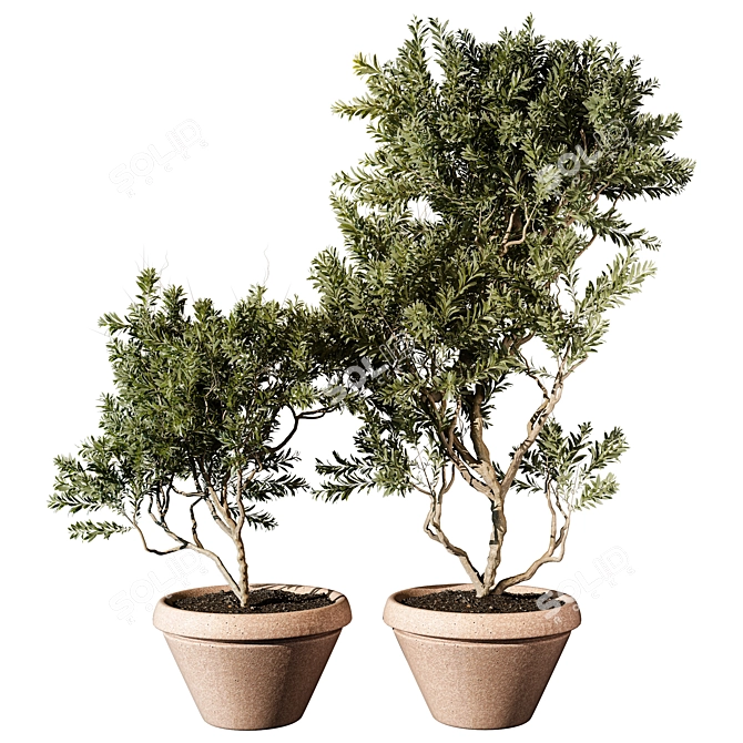  2015 Outdoor Plant 3D Model 3D model image 1