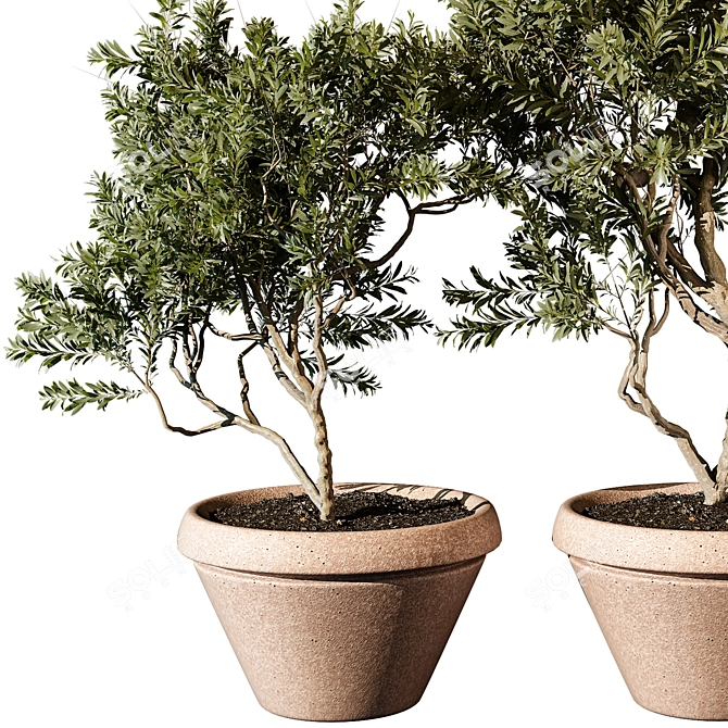  2015 Outdoor Plant 3D Model 3D model image 2