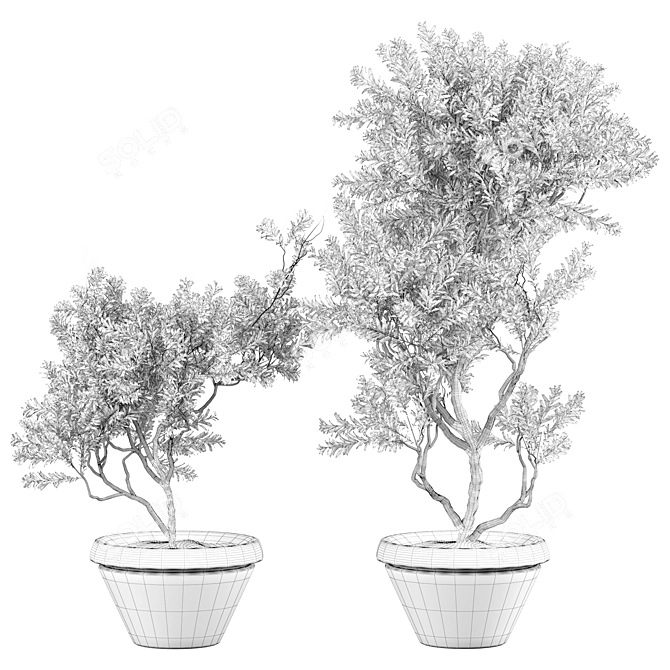  2015 Outdoor Plant 3D Model 3D model image 4