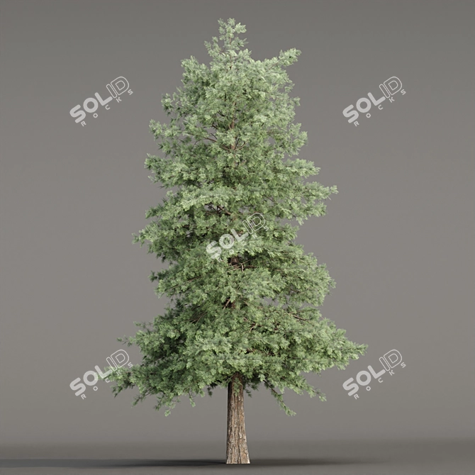 Grove Collection: Volume 78 3D model image 3