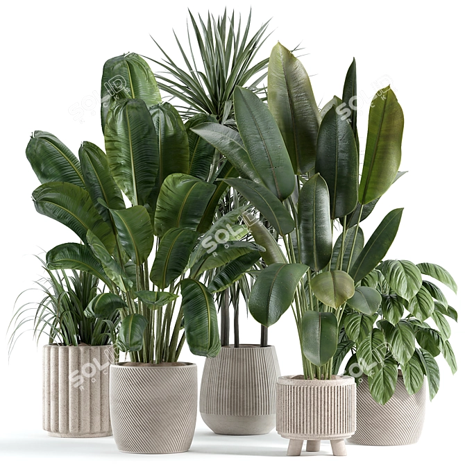 Custom Modeled Indoor Plant 243 3D model image 1