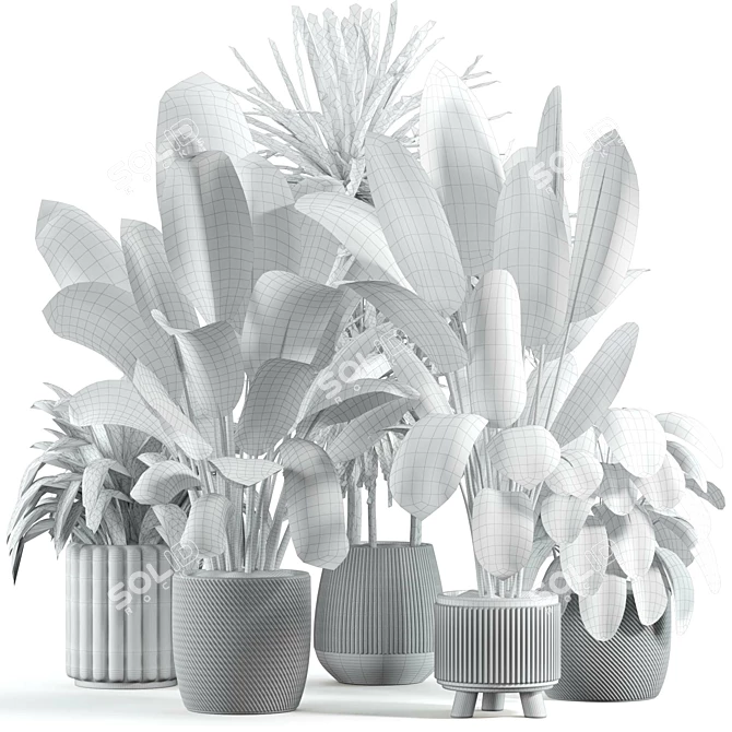 Custom Modeled Indoor Plant 243 3D model image 2