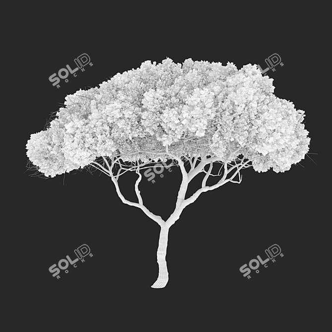 Majestic Stone Pine Tree Model 3D model image 4