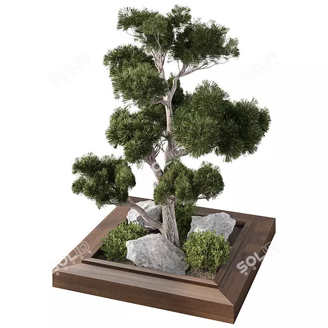 Modern Indoor Plant Set Bundle 3D model image 3