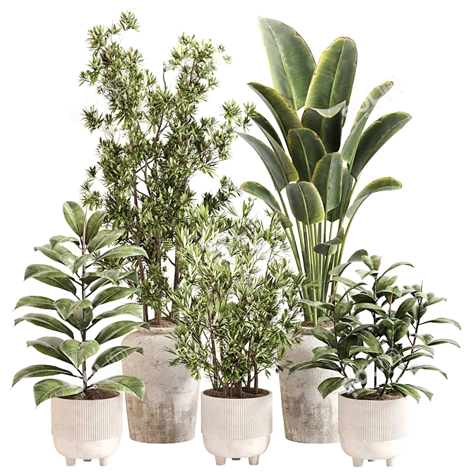 Green Oasis Indoor Plant Set 3D model image 3