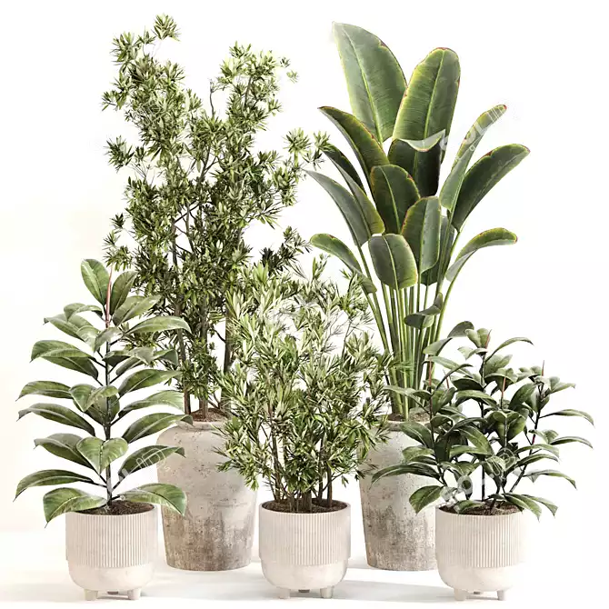 Green Oasis Indoor Plant Set 3D model image 2