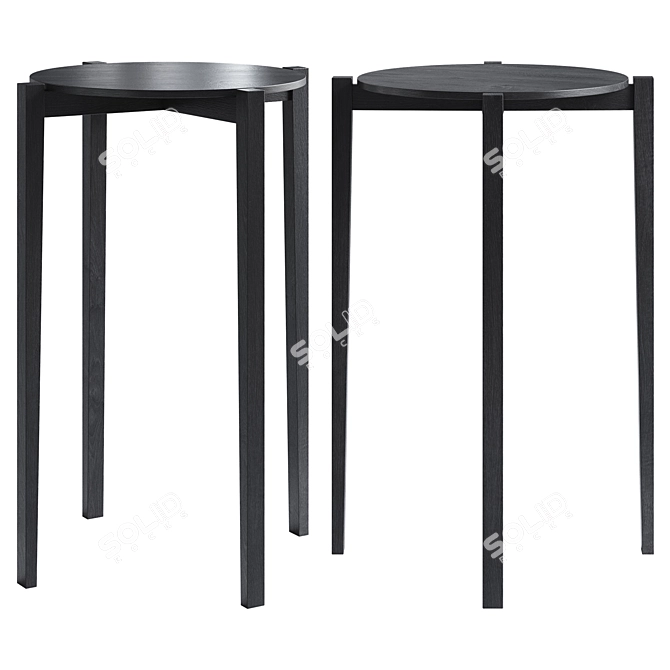 Eloïs Serax Designer Table by Ann Demeulemeester 3D model image 4