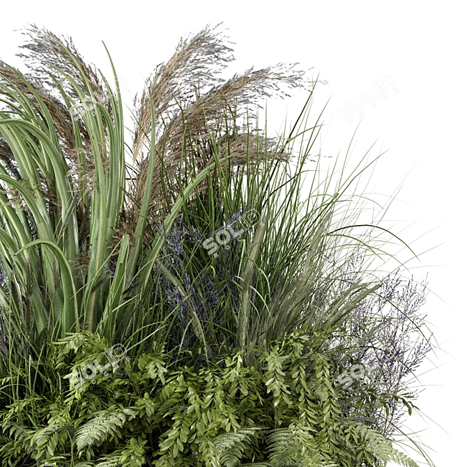 Outdoor Plants Collection Set 2303 3D model image 3