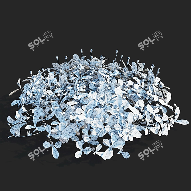 Phyla Nodiflora Branches and Bushes 3D model image 3
