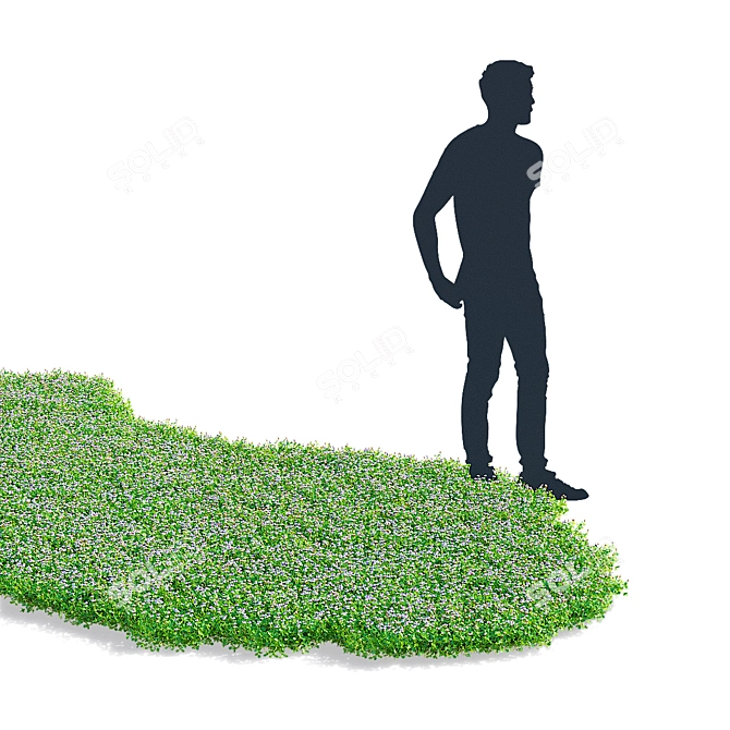 Phyla Nodiflora Branches and Bushes 3D model image 18