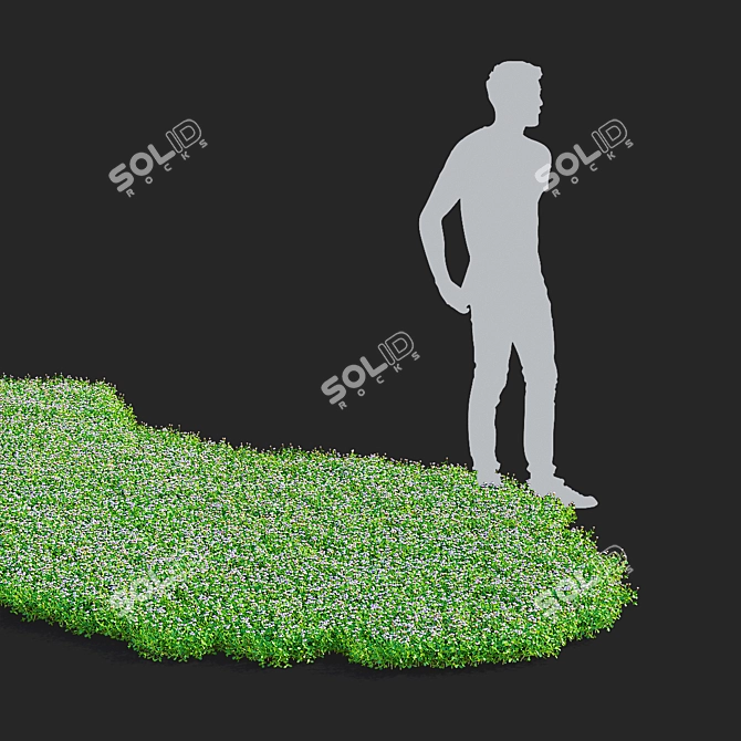 Phyla Nodiflora Branches and Bushes 3D model image 25