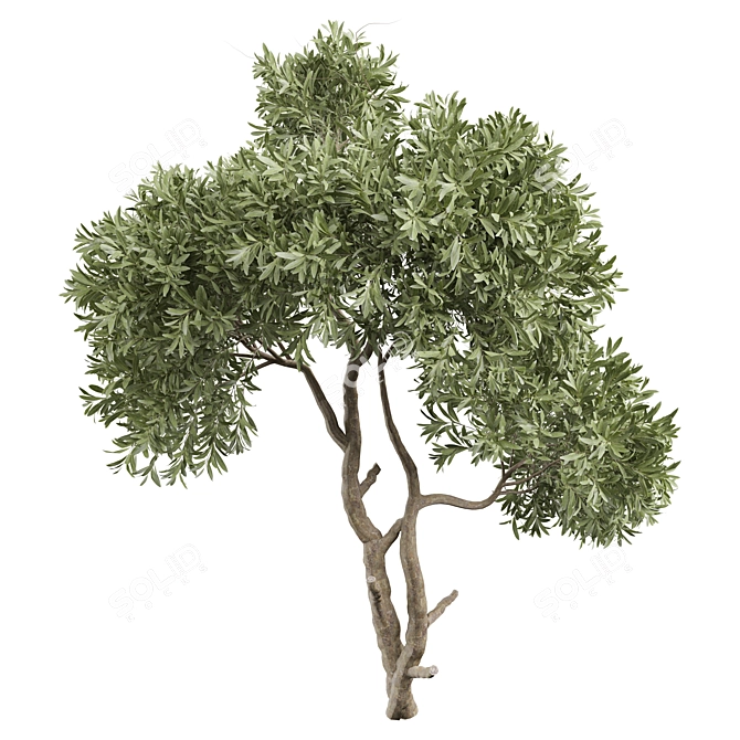 Tree Vol 19 3D Model 3D model image 1
