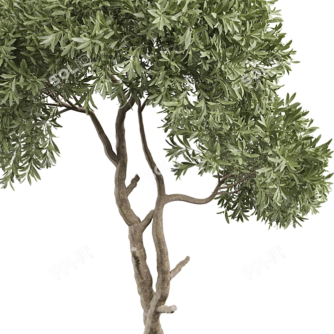 Tree Vol 19 3D Model 3D model image 2