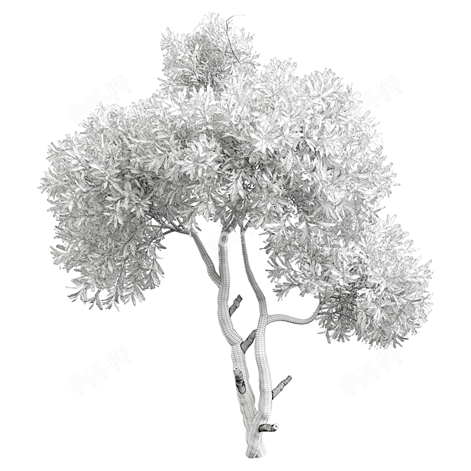 Tree Vol 19 3D Model 3D model image 3