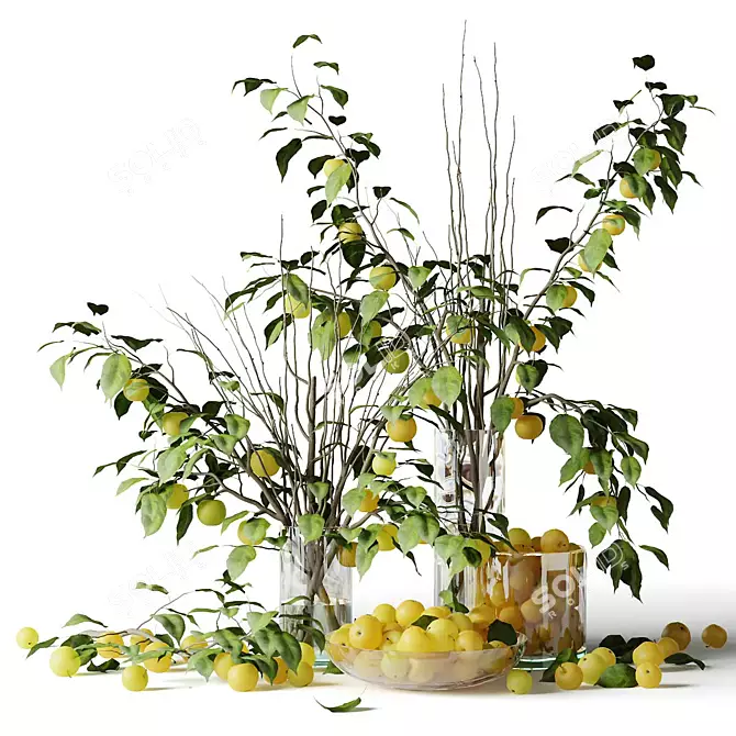 Chinese Crabapple Apple Branch Bouquet 3D model image 1