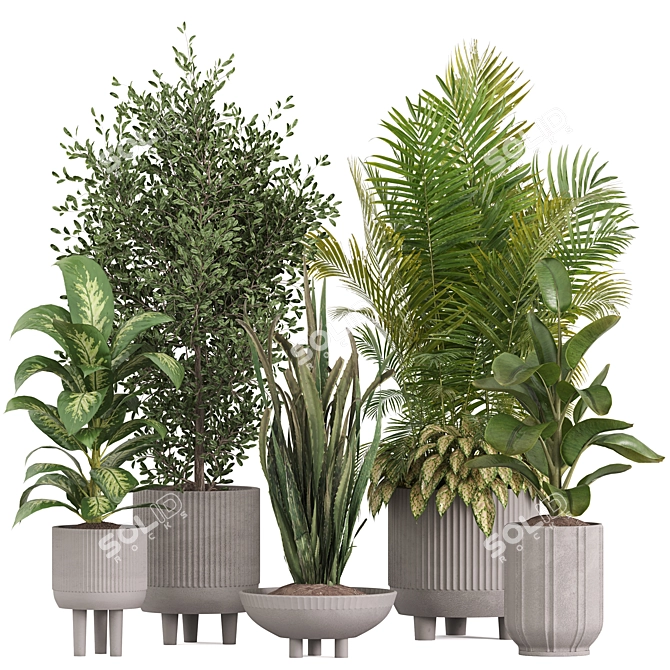 Stone Pot Indoor Plant Set 3D model image 1