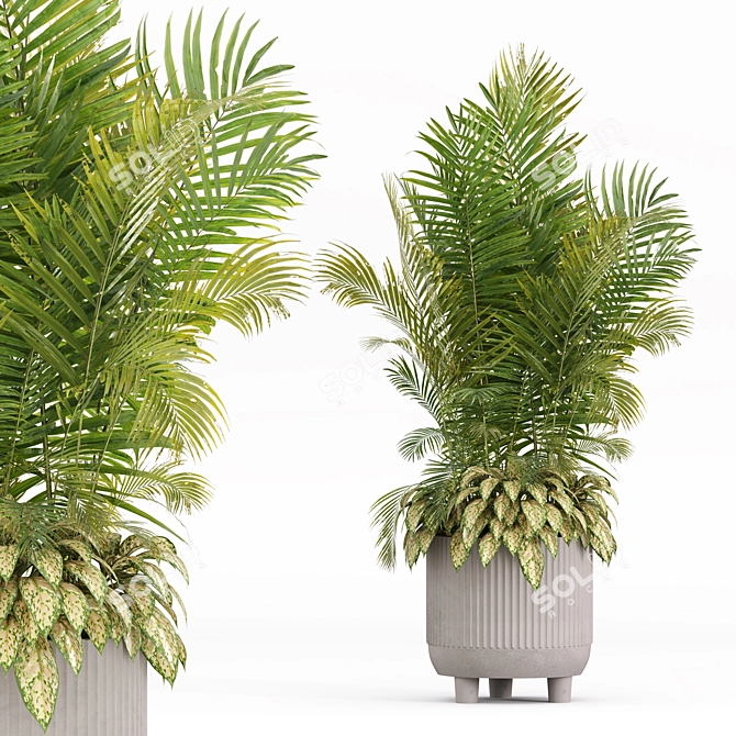 Stone Pot Indoor Plant Set 3D model image 2