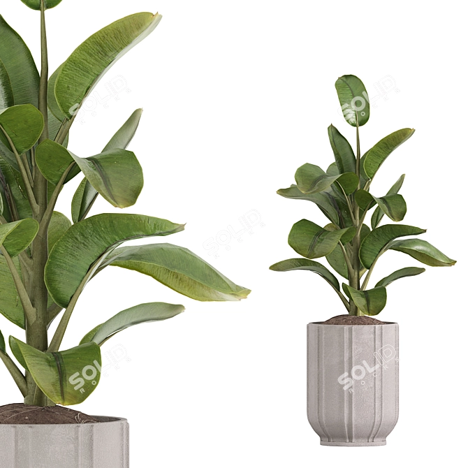 Stone Pot Indoor Plant Set 3D model image 4