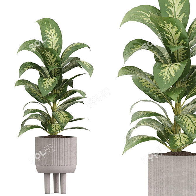 Stone Pot Indoor Plant Set 3D model image 6