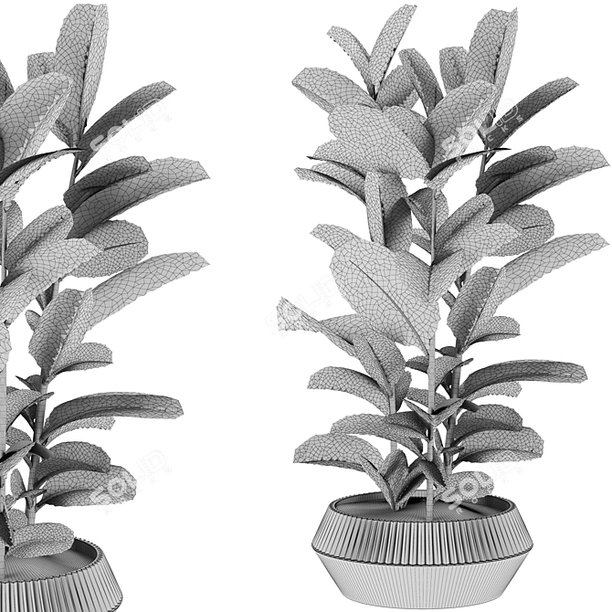 Variety Plants Collection 3D Render 3D model image 3