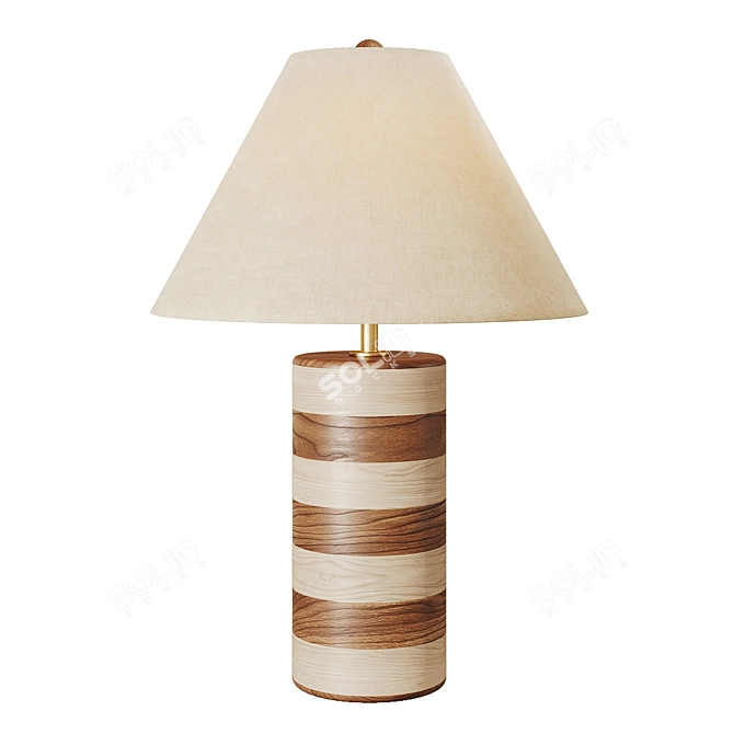 Sleek Modern Anuel Table Lamp 3D model image 1