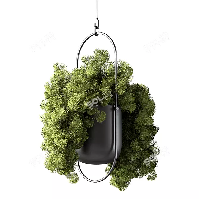 Modern Hanging Plant Set Collection 3D model image 1