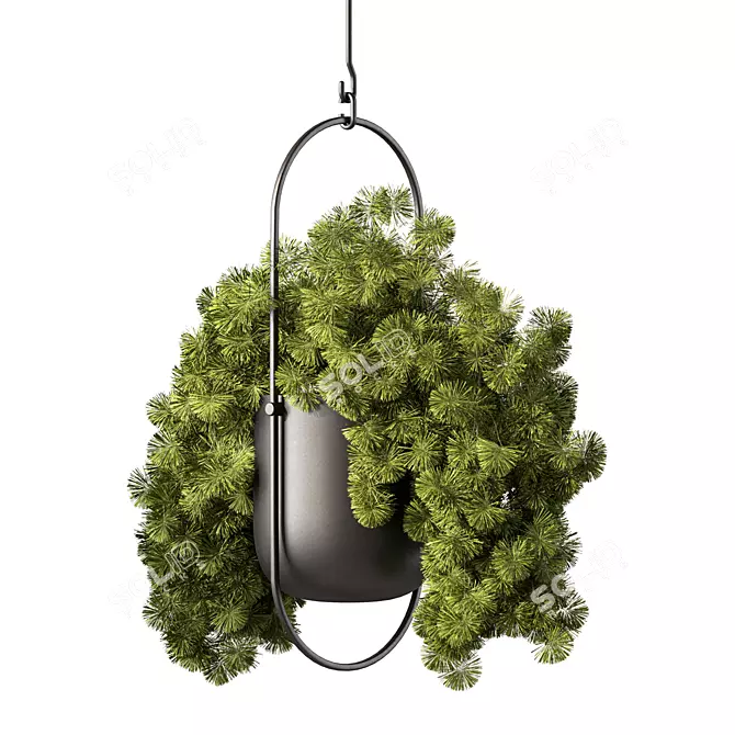 Modern Hanging Plant Set Collection 3D model image 3