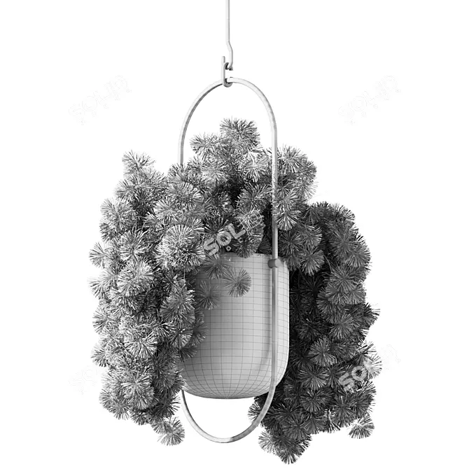 Modern Hanging Plant Set Collection 3D model image 4