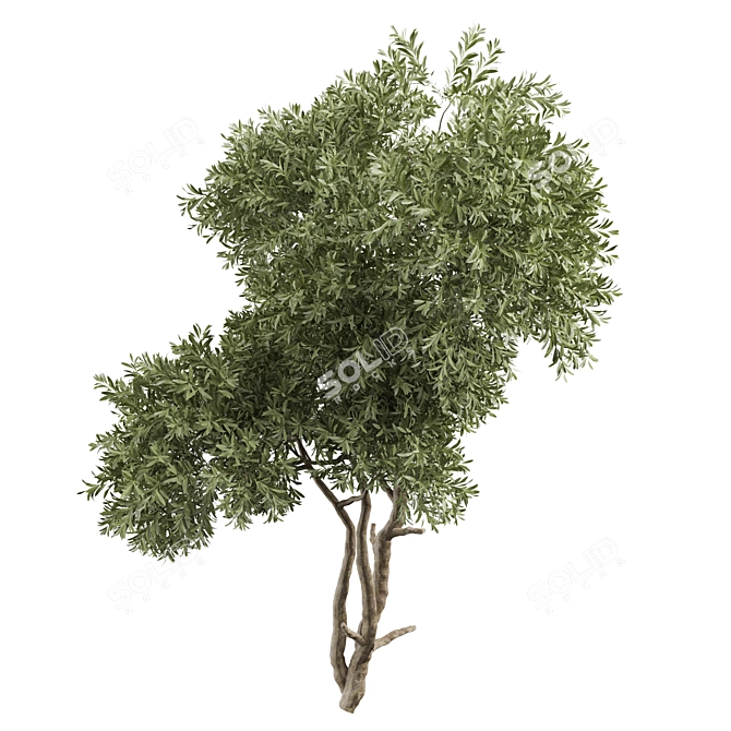 Tree Vol 20 3D Model 3D model image 1