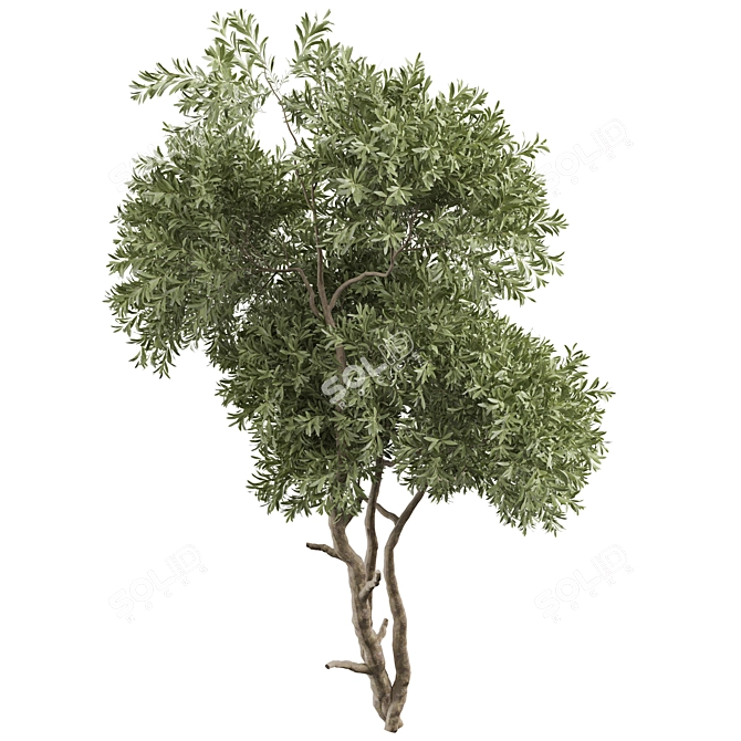 Tree Vol 20 3D Model 3D model image 2