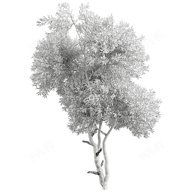 Tree Vol 20 3D Model 3D model image 3