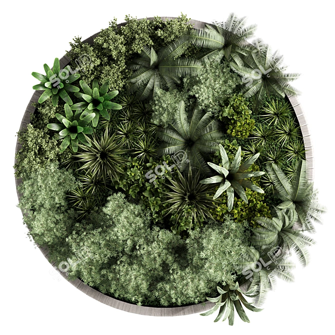 Designer Circle Wall Plant Frame 3D model image 2