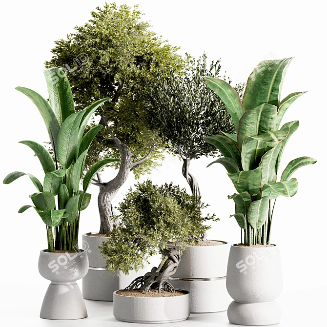High-Quality Indoor Plants Set 3D model image 1