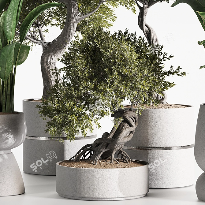High-Quality Indoor Plants Set 3D model image 4
