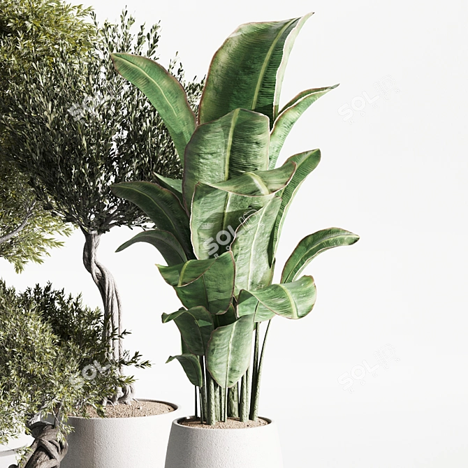 High-Quality Indoor Plants Set 3D model image 5