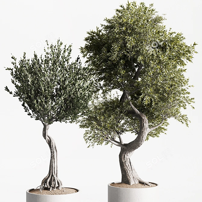 High-Quality Indoor Plants Set 3D model image 7