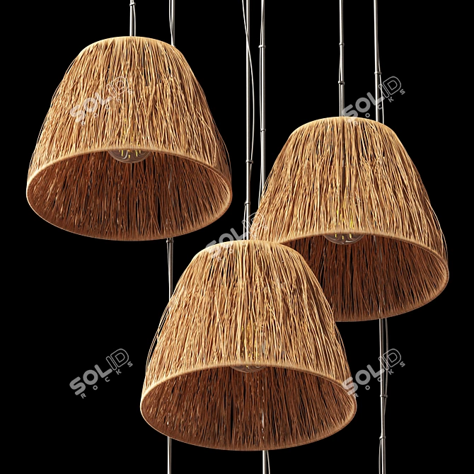 Elegant Wicker Lamp Set, 3D 3D model image 2