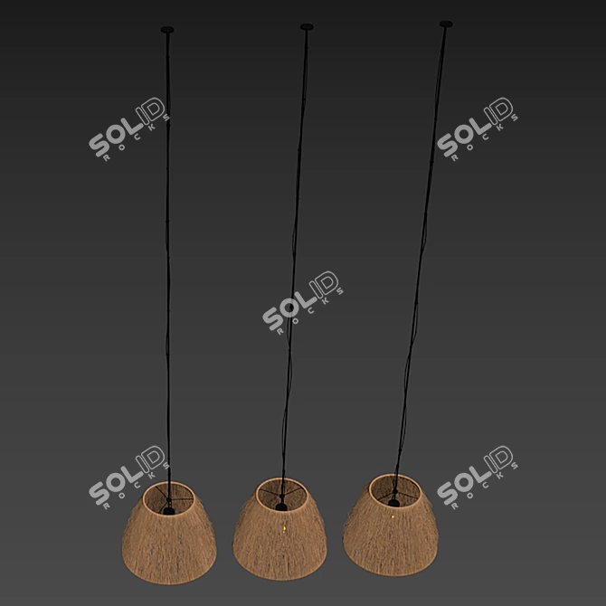 Elegant Wicker Lamp Set, 3D 3D model image 5