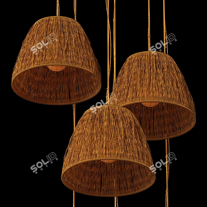 Elegant Wicker Lamp Set, 3D 3D model image 6