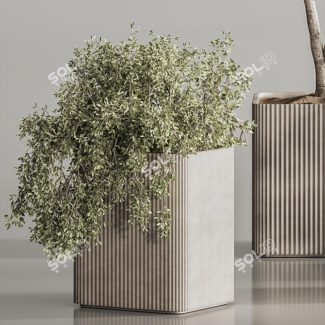 Sleek Indoor Plant Set 146 3D model image 7