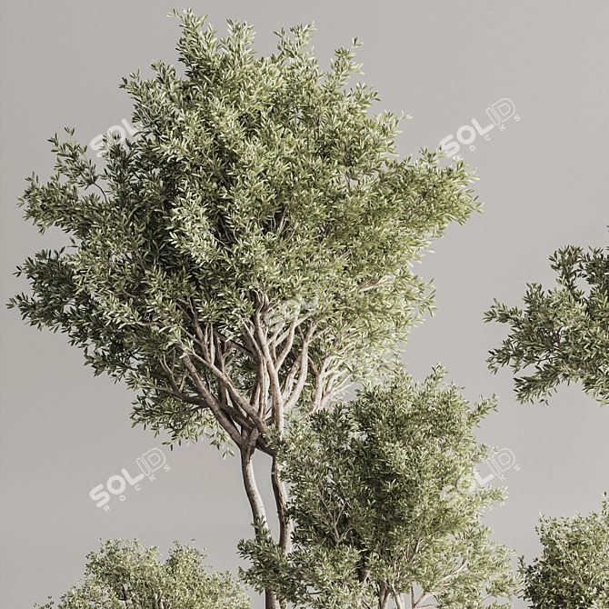 Sleek Indoor Plant Set 146 3D model image 8