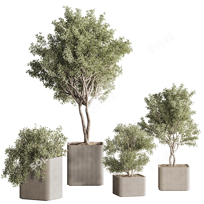 Sleek Indoor Plant Set 146 3D model image 12