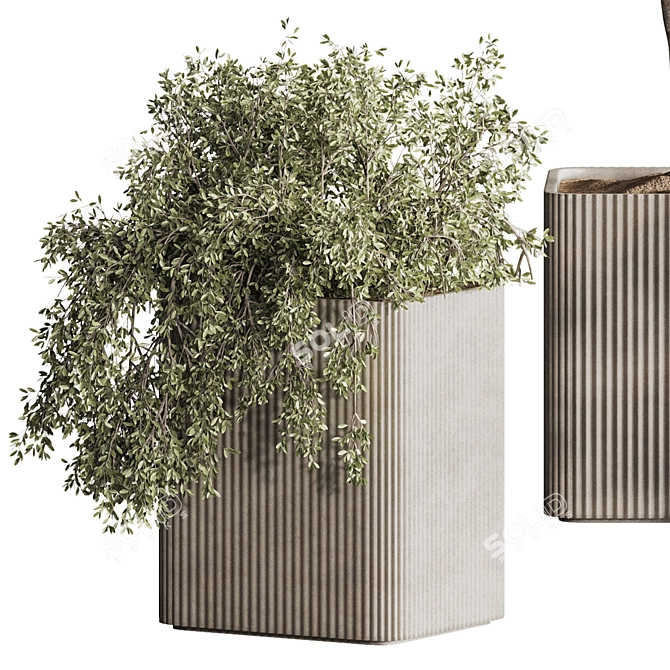 Sleek Indoor Plant Set 146 3D model image 14